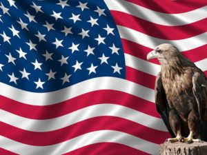 American Flag Bald Eagle